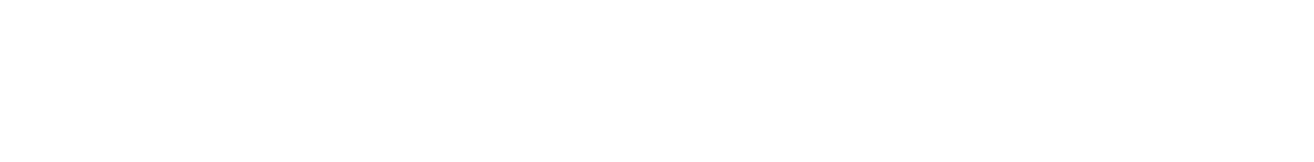 Black Raccoon — web agency e sviluppo gestionali